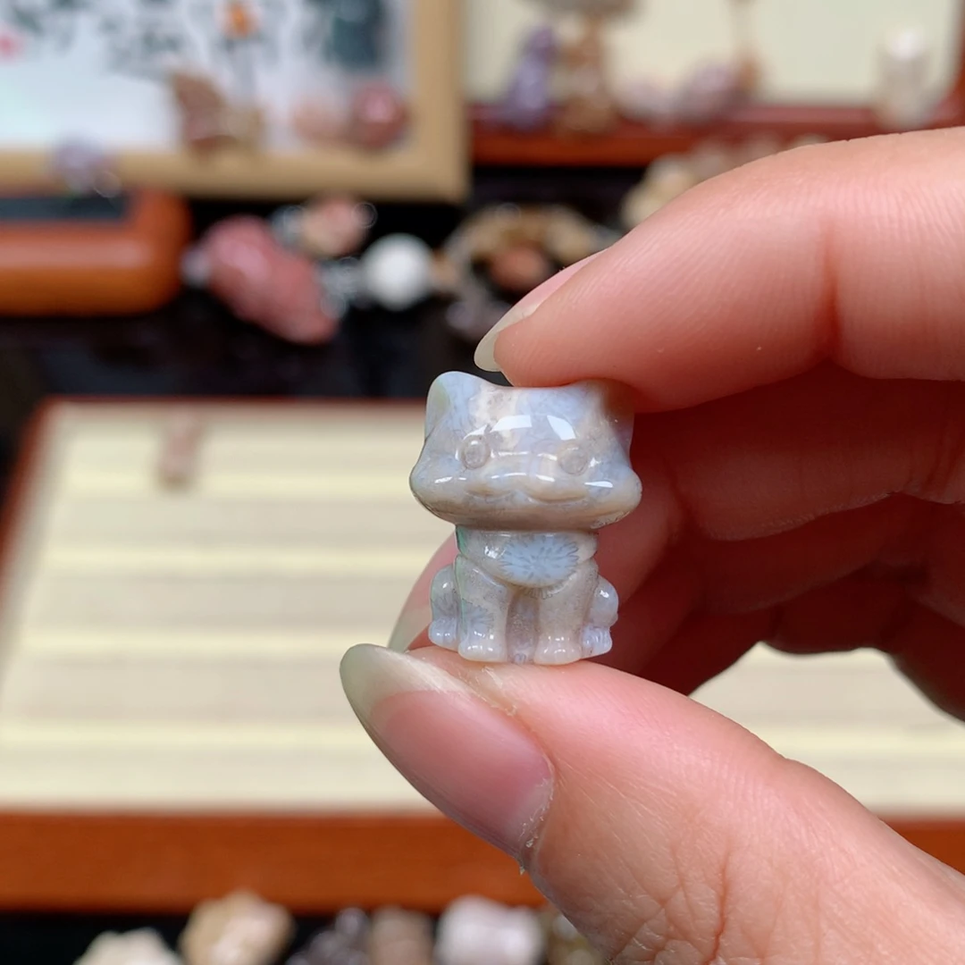 硅化玉珊瑚玉未镶嵌