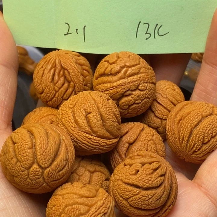 手串文玩核桃秦岭龙纹桃核21尺寸