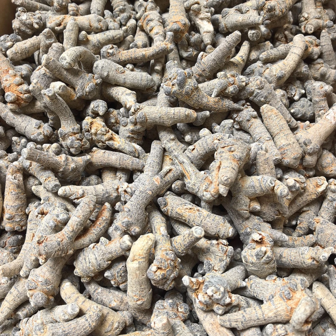 云南深山土特产 【三 / 七  】滋补农产品