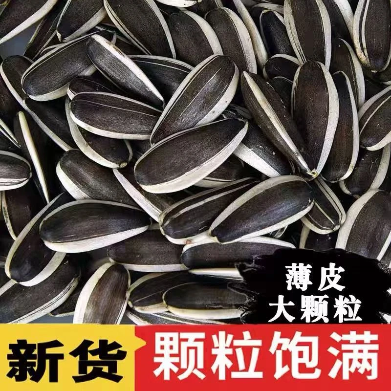 内蒙古新货大颗粒原味葵花籽生熟可选新鲜现炒休闲零食瓜子