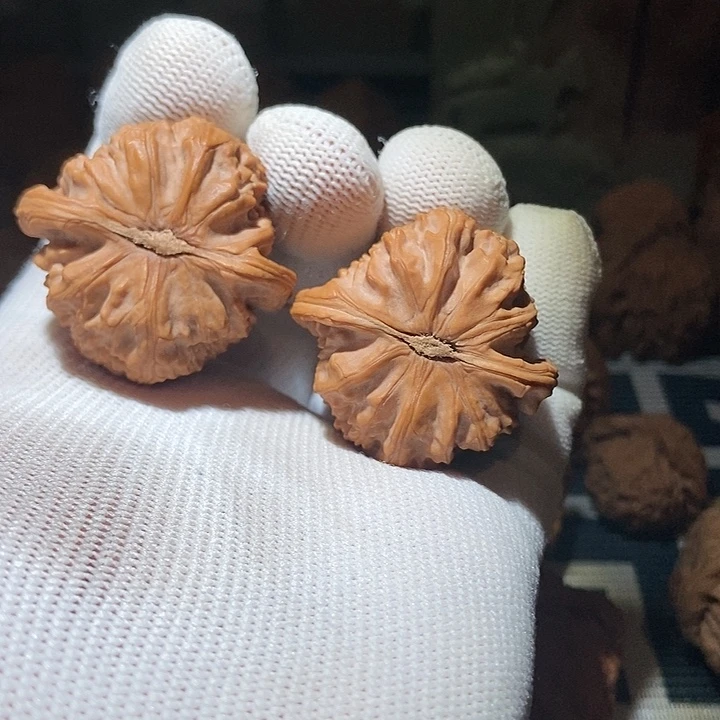 我***乖文玩核桃吊坠三角白全品