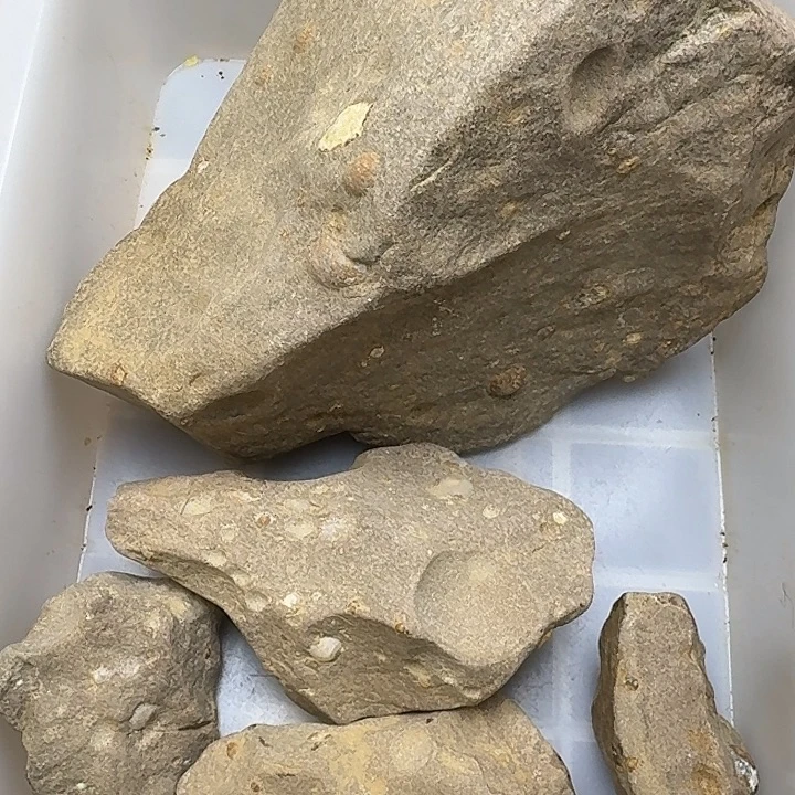 非金属一矿标开播福利