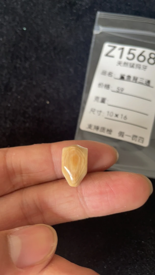 Z1568天然猛犸牙鲨鱼背配饰三通