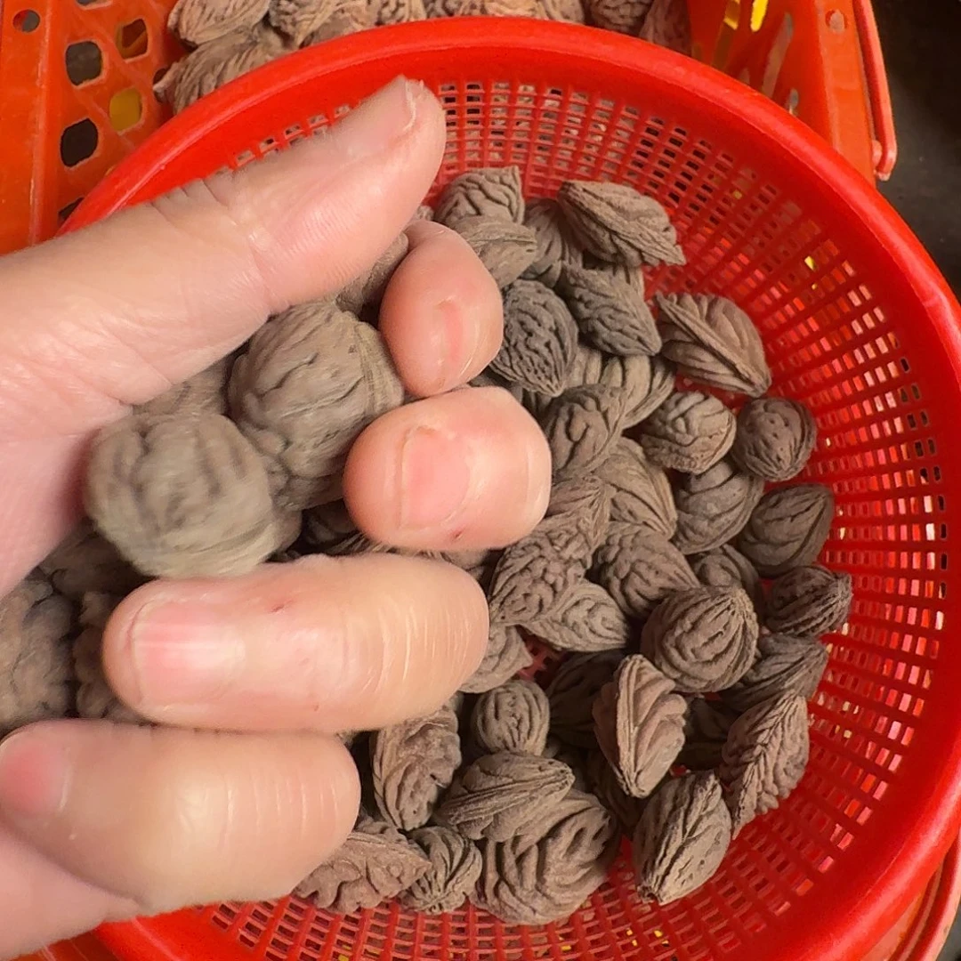 精品碧桃核不同树大肌肉90颗