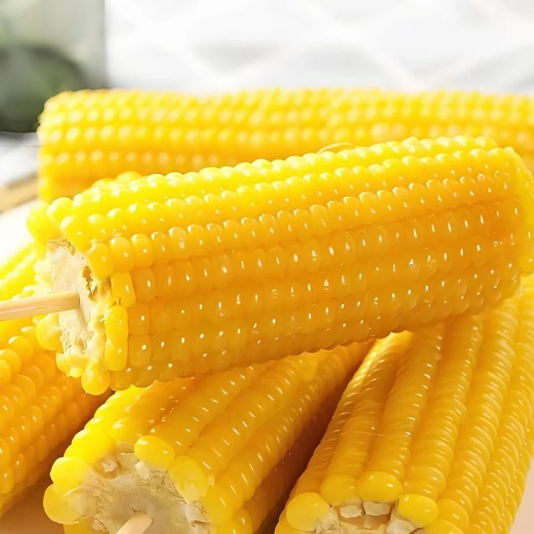 东北黄糯玉米（试吃2根）12支单根230克以上独立真空包装整箱5.5斤