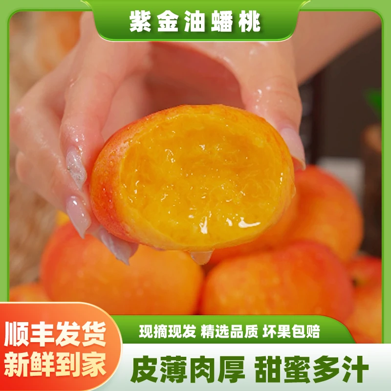 【顺丰】山东蒙阴紫金油蟠桃新鲜油蟠桃果园现摘现发鲜甜多汁3斤起