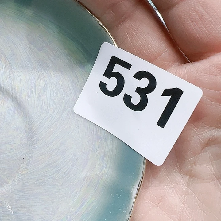 瓷片*️****Pchcoyocyovypyv