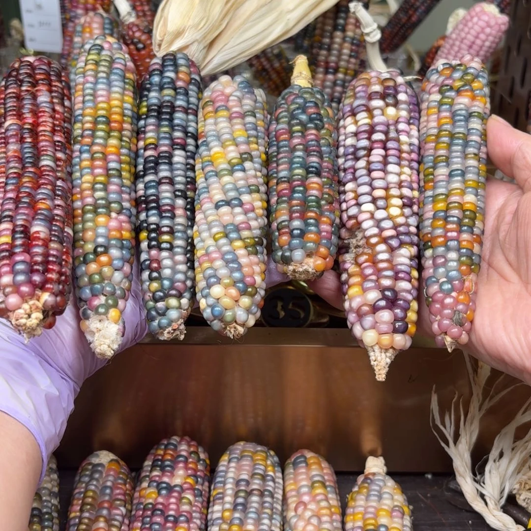 柏香籽/百香籽吊坠噜****啦