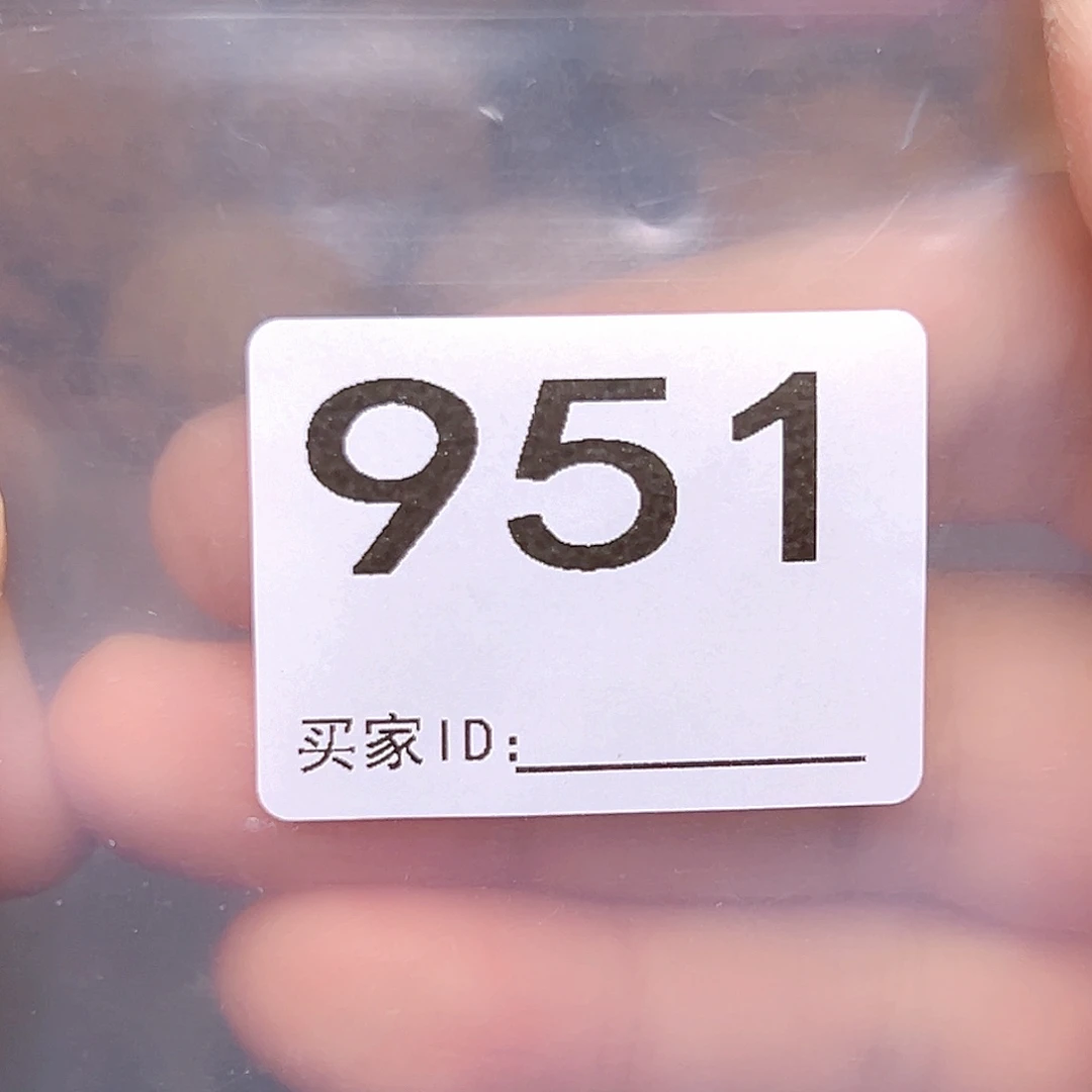 文玩核桃吊坠文玩核桃 新手老手