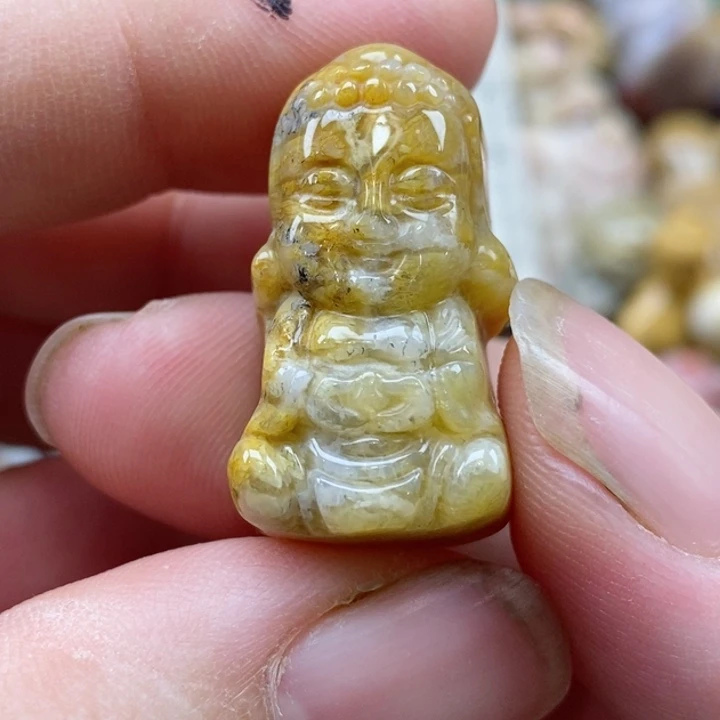 颈饰未镶嵌硅化珊瑚（珊瑚玉）小