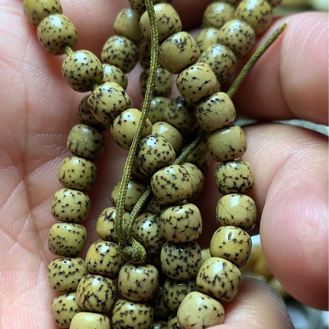 【闪购商品】信**缰11111111111111111111