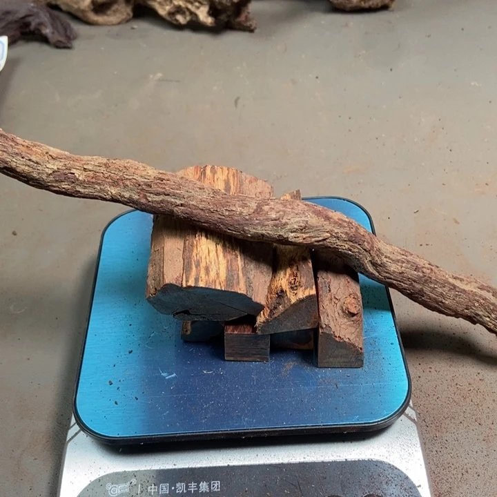 黄花梨/降香黄檀蜂**花海南红降花梨公