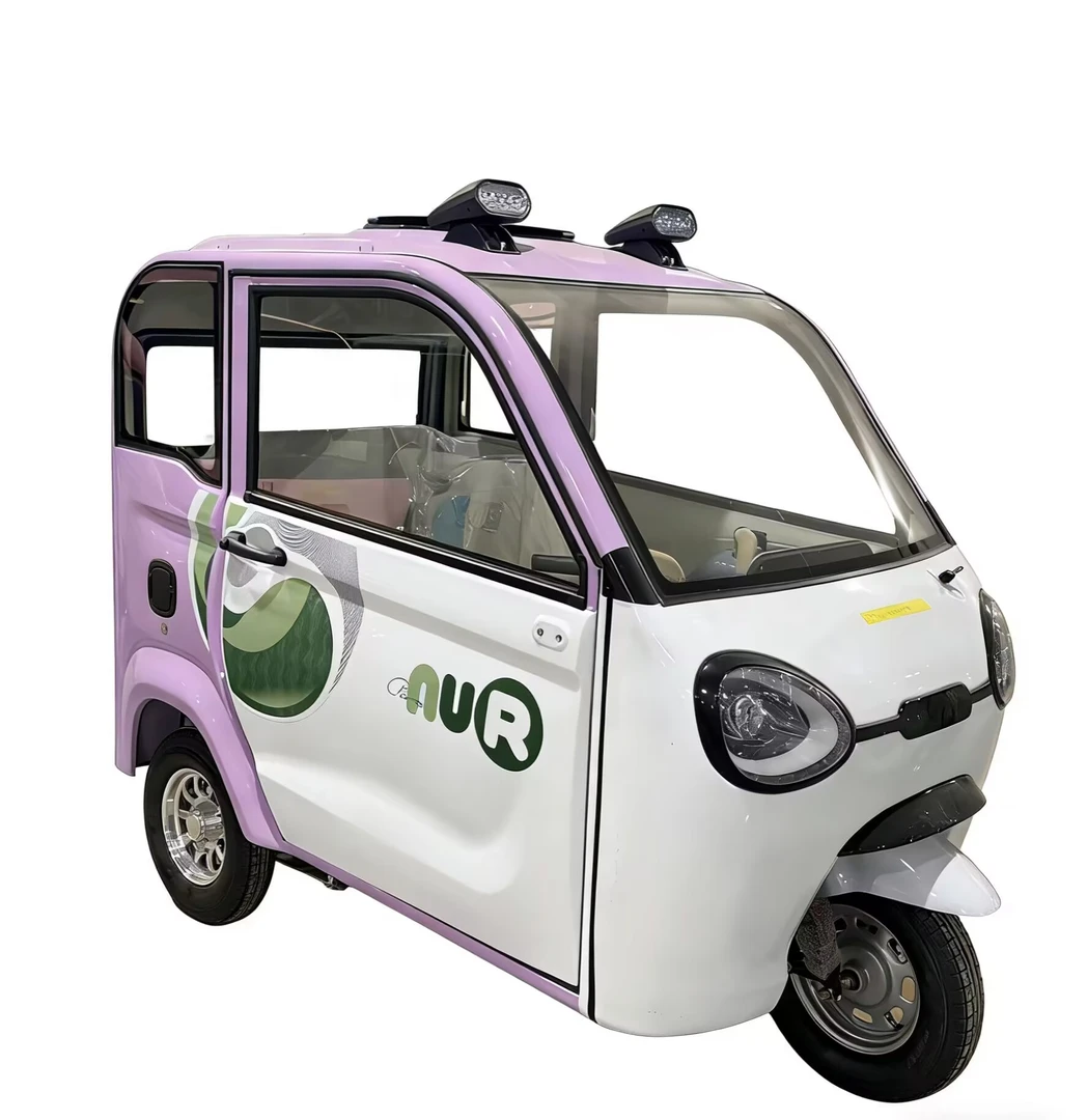 全封闭带棚电动三轮车可上牌家用通勤接送孩子代步