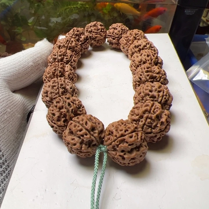 金刚菩提手串22满蜂窝梅花双龙