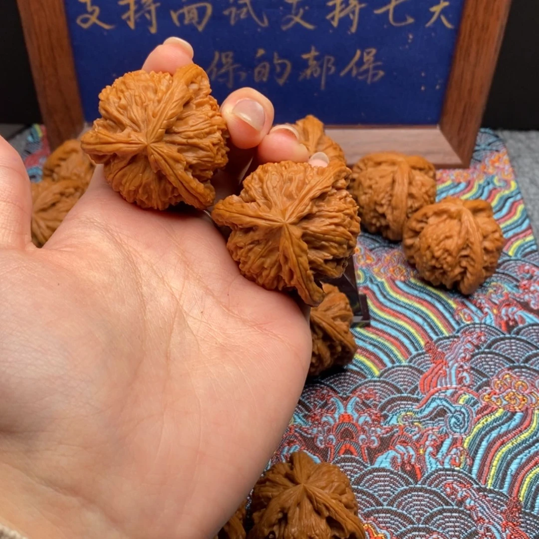 【闪购商品】子*白狮