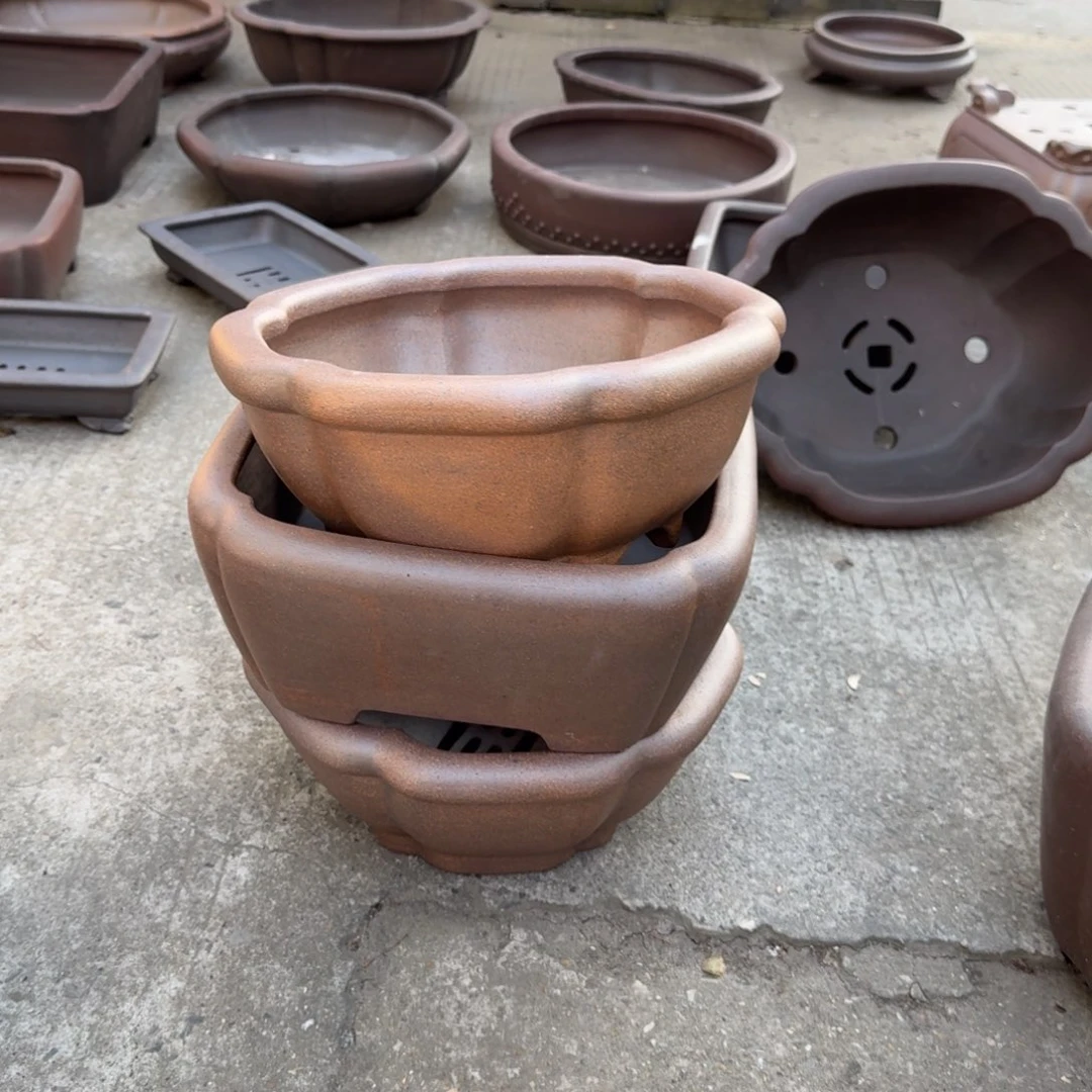 门***哥紫砂呜呜呜我的宝呜呜呜我的宝