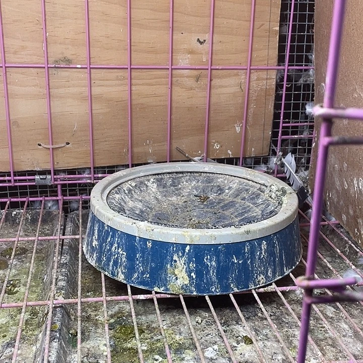 优质塑料窝，好用方便