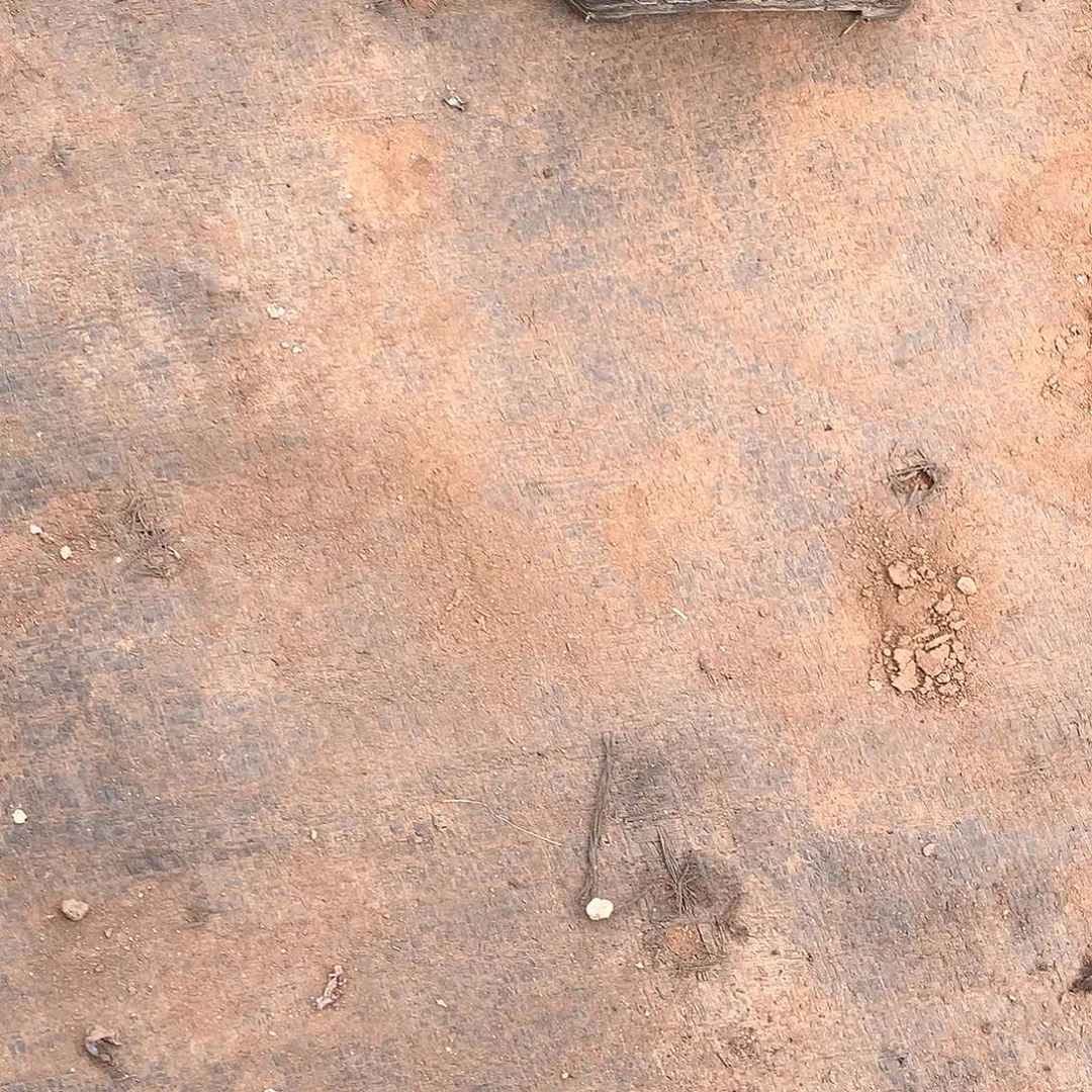 多肉仙葩控释肥2斤36米