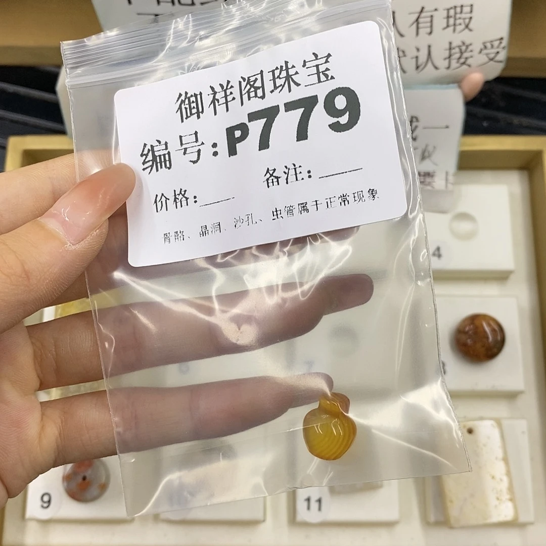 硅化珊瑚（珊瑚玉）未镶嵌颈饰梦****作