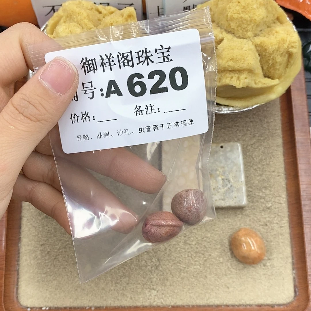 硅化珊瑚（珊瑚玉）颈饰未镶嵌不*钢