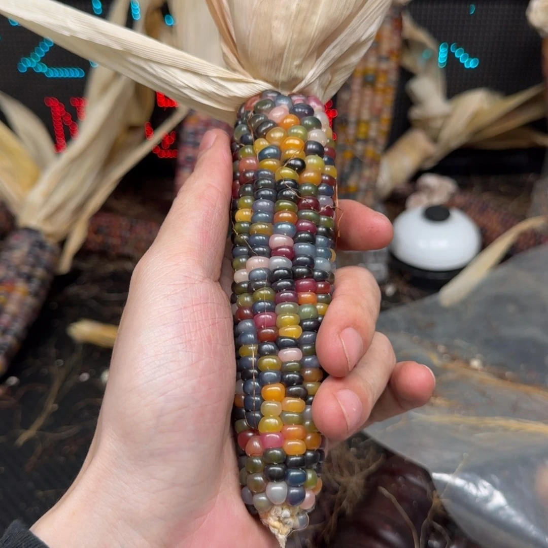 柏香籽/百香籽吊坠M**y