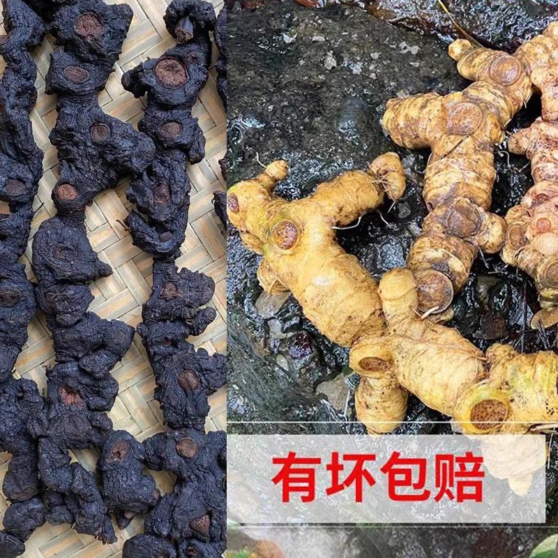 野生仙人余粮 整根发  真材实料 可搭配黄芪 枸杞泡水泡酒