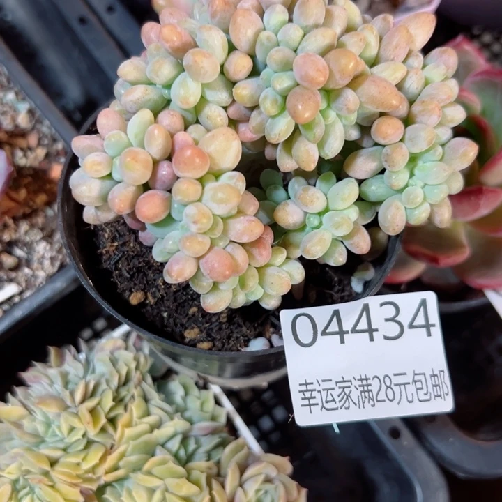 幸运的是我还没遇到过