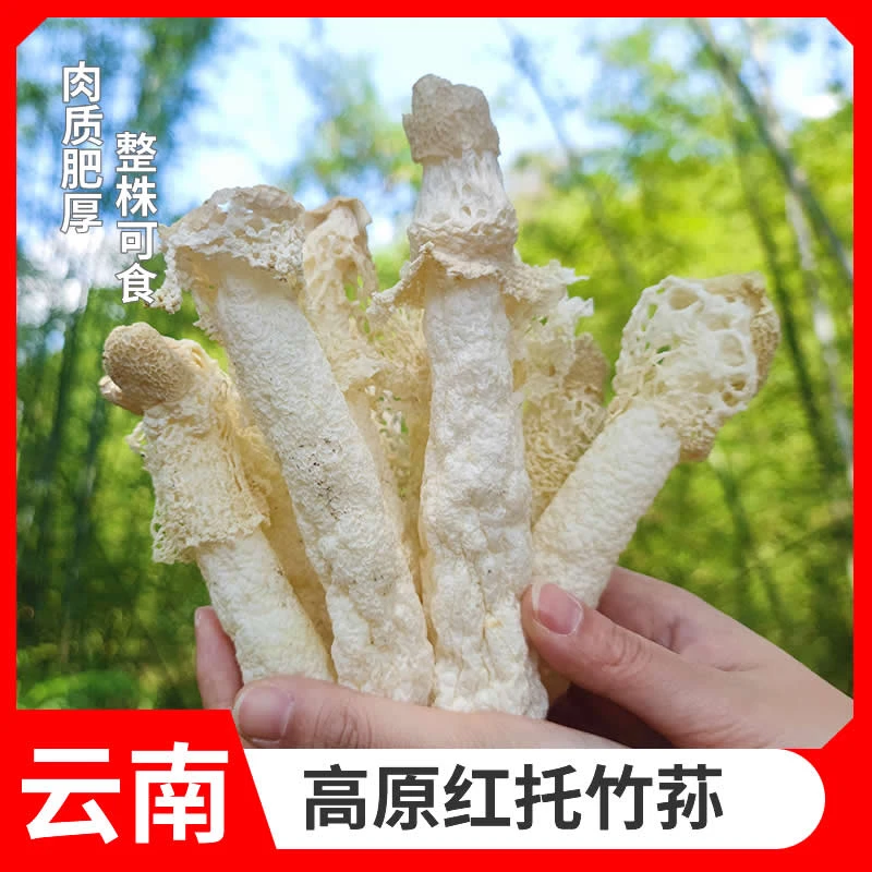 3农家新竹荪干货5克长裙竹笙菌菇无硫无添加滋补煲汤火锅食材