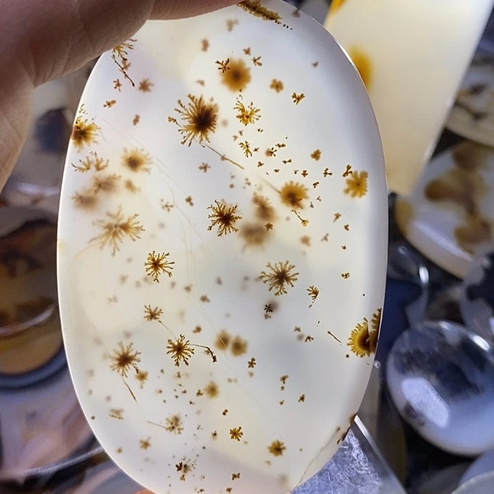 未镶嵌颈饰玛瑙/玉髓
