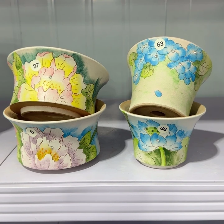 红陶田小姐多肉花盆