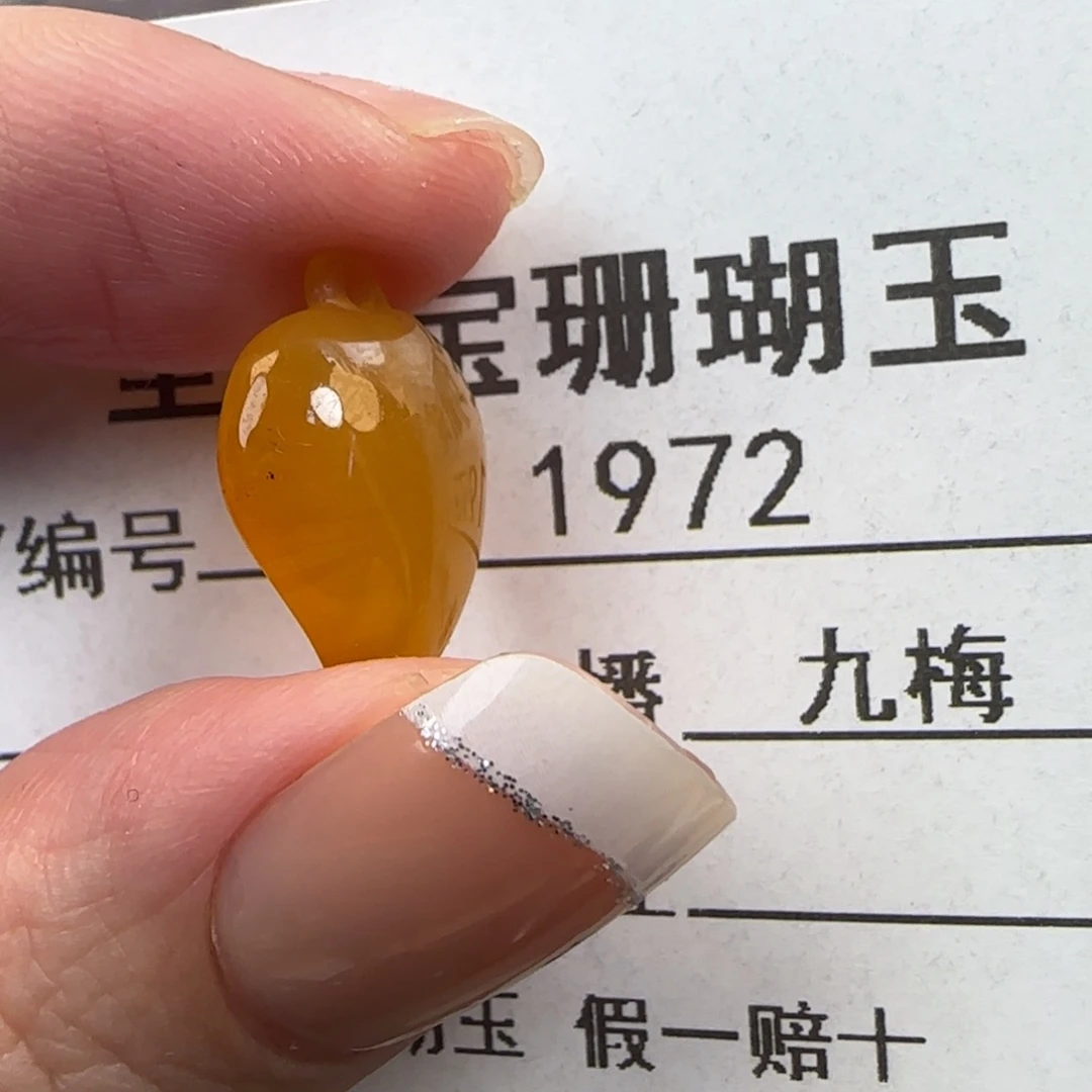 咸***身硅化珊瑚（珊瑚玉）未镶嵌颈饰