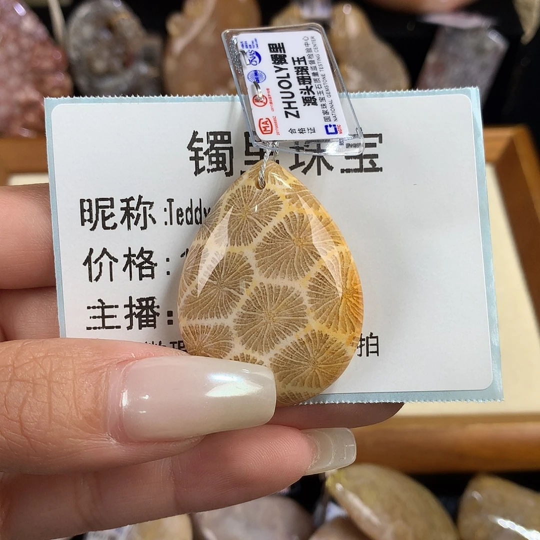 T***y吊坠(赠链)未镶嵌硅化珊瑚（珊瑚玉）