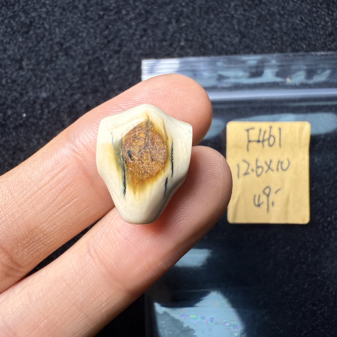 F461猛犸象牙对孔12.6*10mm鲨鱼背三通果冻料
