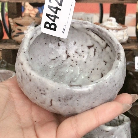 “****”木有一点点的小事就