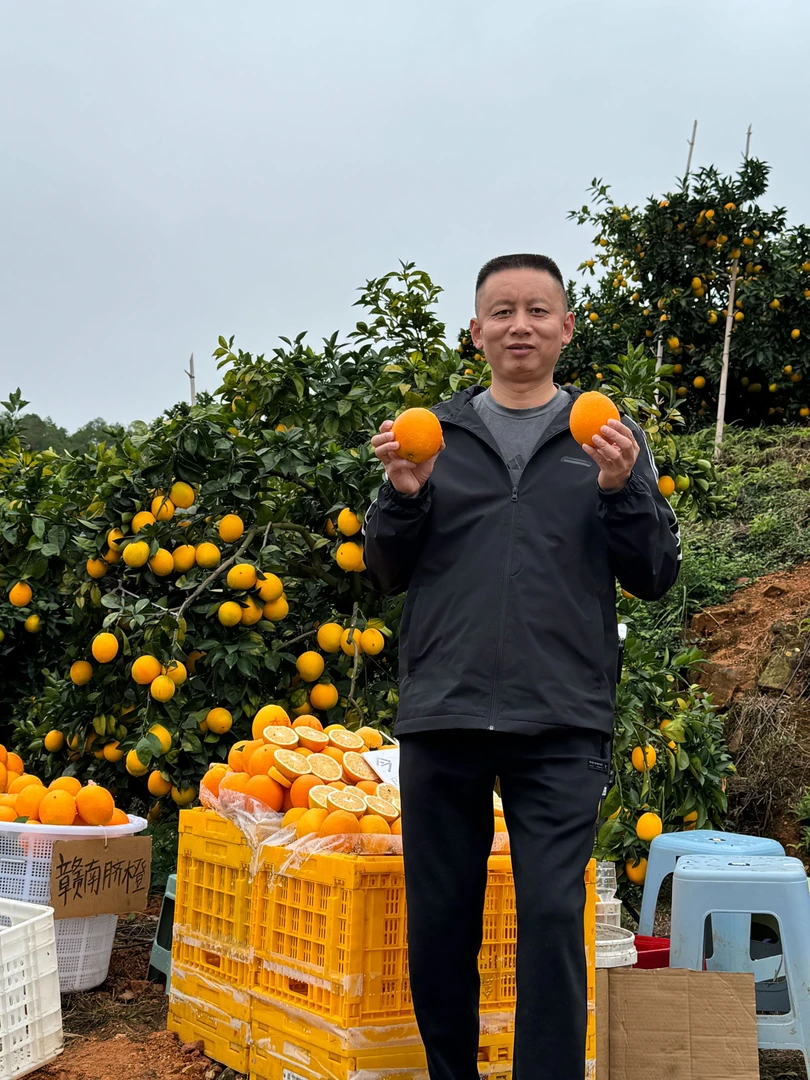 正宗江西赣南脐橙新鲜精品果现摘当季水果产地赣州直发严橙