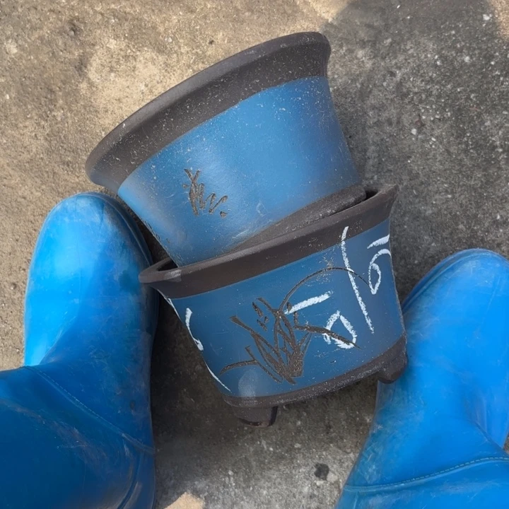 紫砂花盆紫砂的花