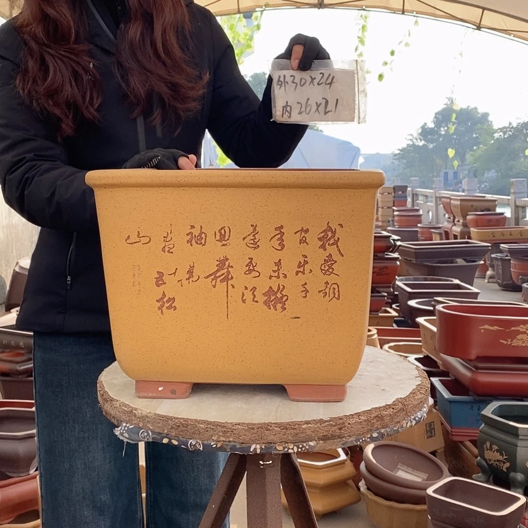 紫砂花盆紫砂花盆