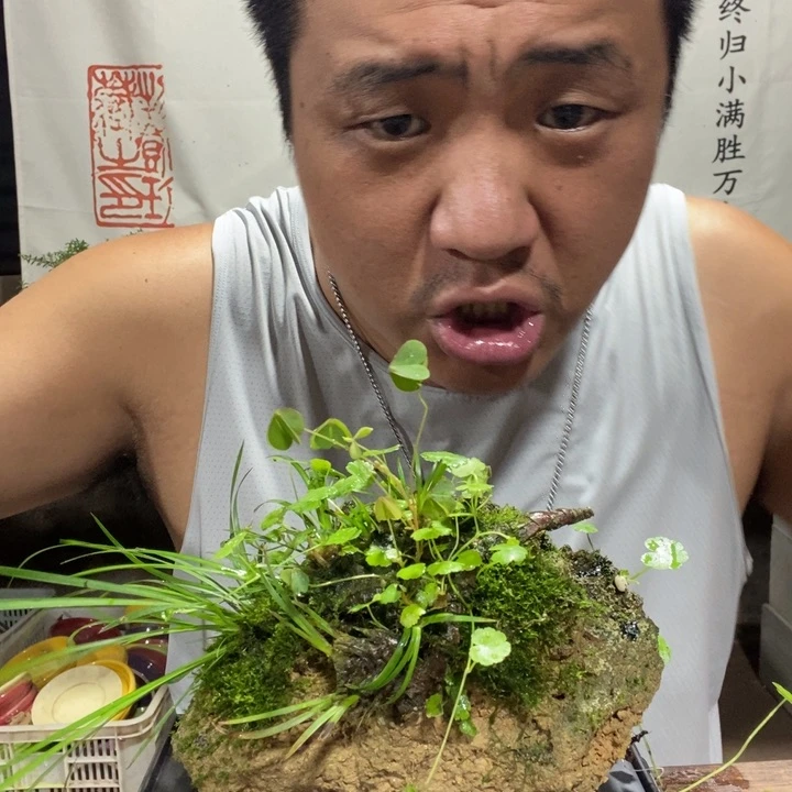 往****华一物一拍所见即所得268