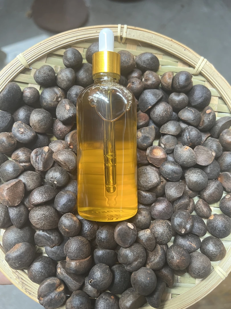 老茶树山茶油100ML*冷榨