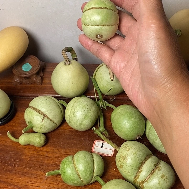 程***了青皮面包葫芦手把件