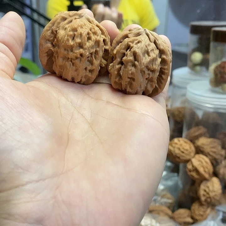 【闪购商品】核桃把件白狮子左右逢缘黄