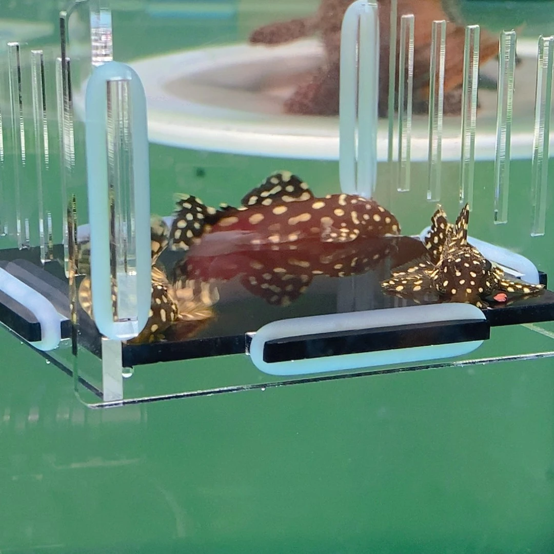 清道夫鱼龙钻异型35号