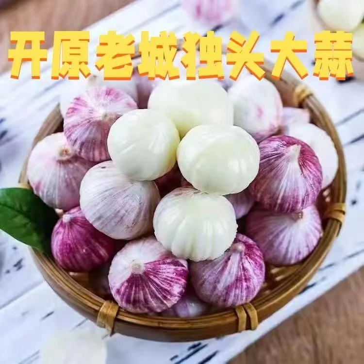 开原紫皮独头大蒜干蒜特大果香辣饱满可做腊八蒜