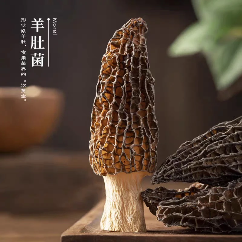 2025年新货高山仿野生羊肚菌煲汤，坐月子，儿童辅食