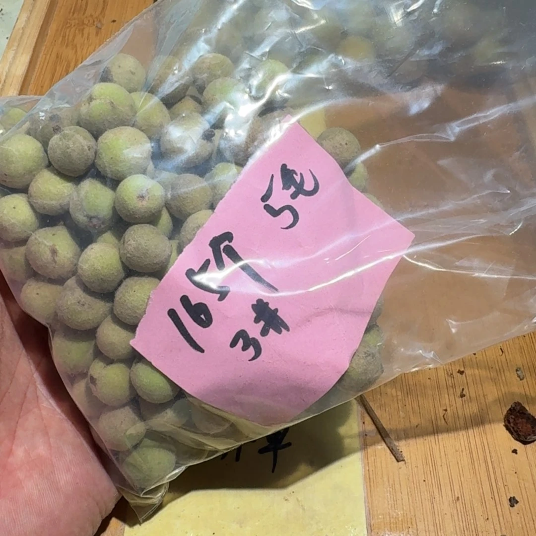 晨***阳桃核手串桃核散子