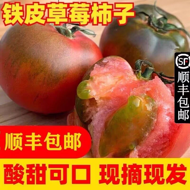丹东铁皮柿子柿子新鲜西红柿孕妇水果番茄生吃应季直发