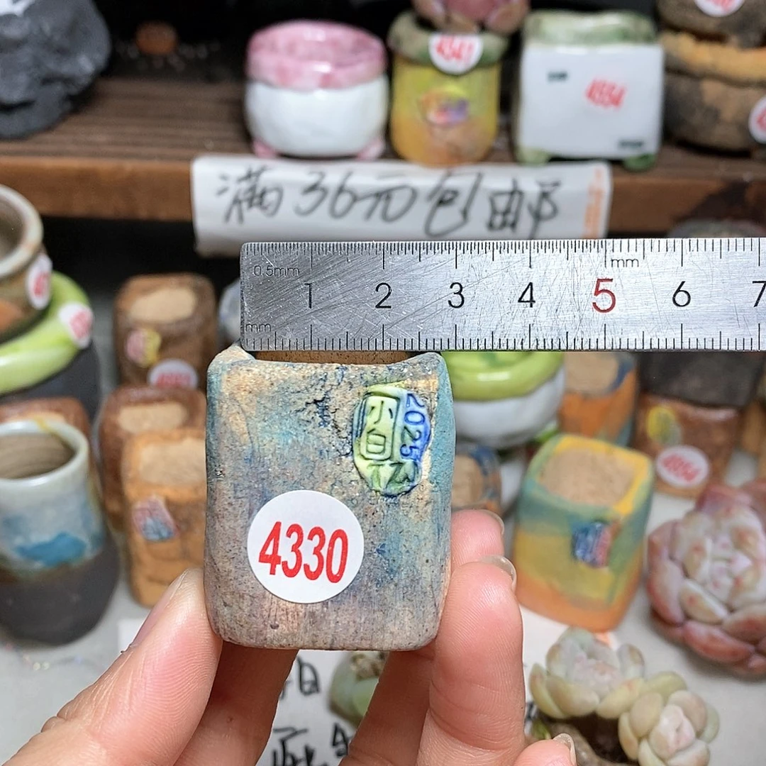 红陶拍5送一个小