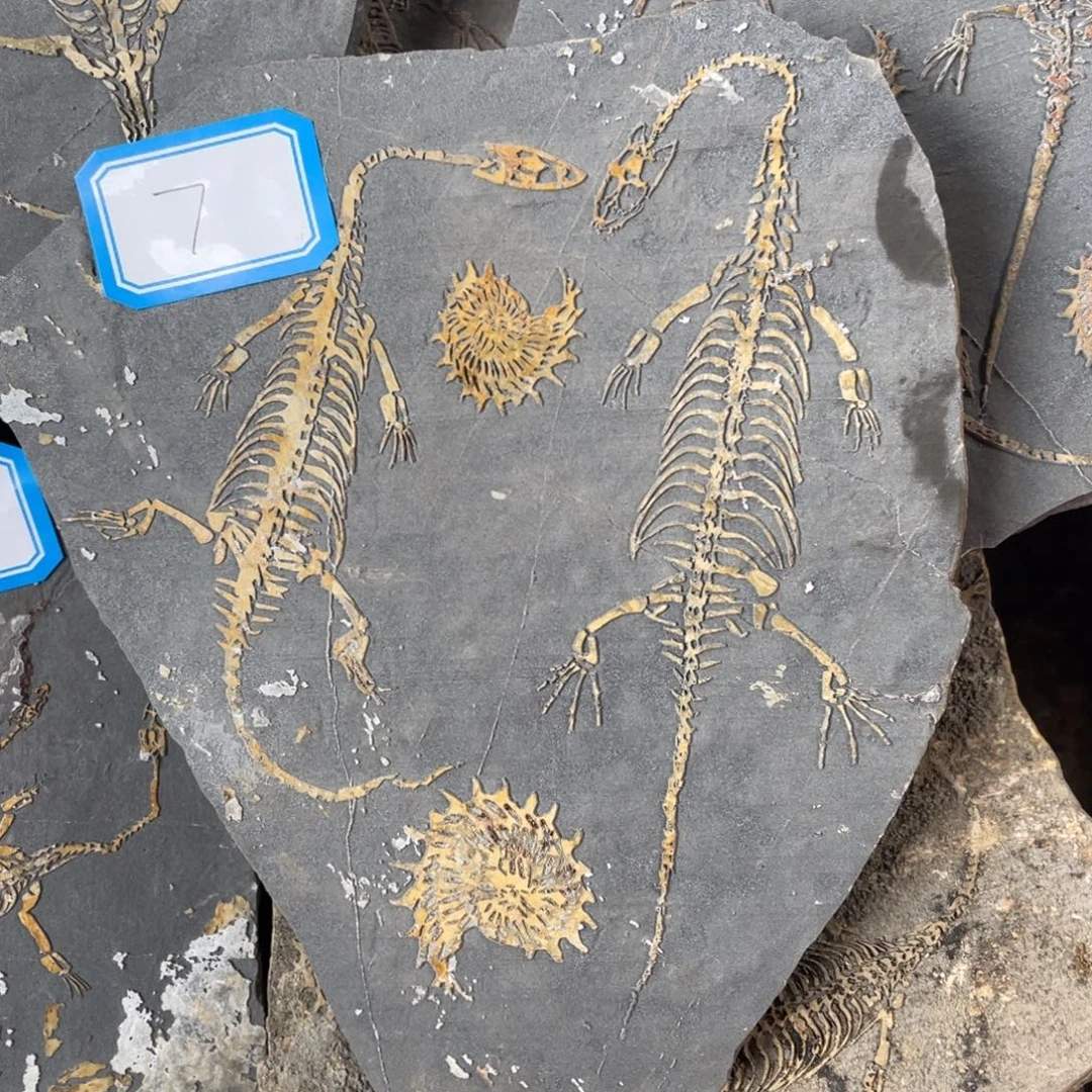 石材77777777777777