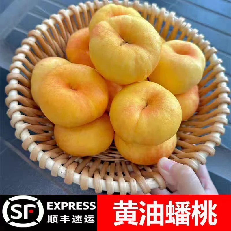 平谷油蟠桃顺丰京东精品采摘果园多汁水果桃平谷大桃蟠桃