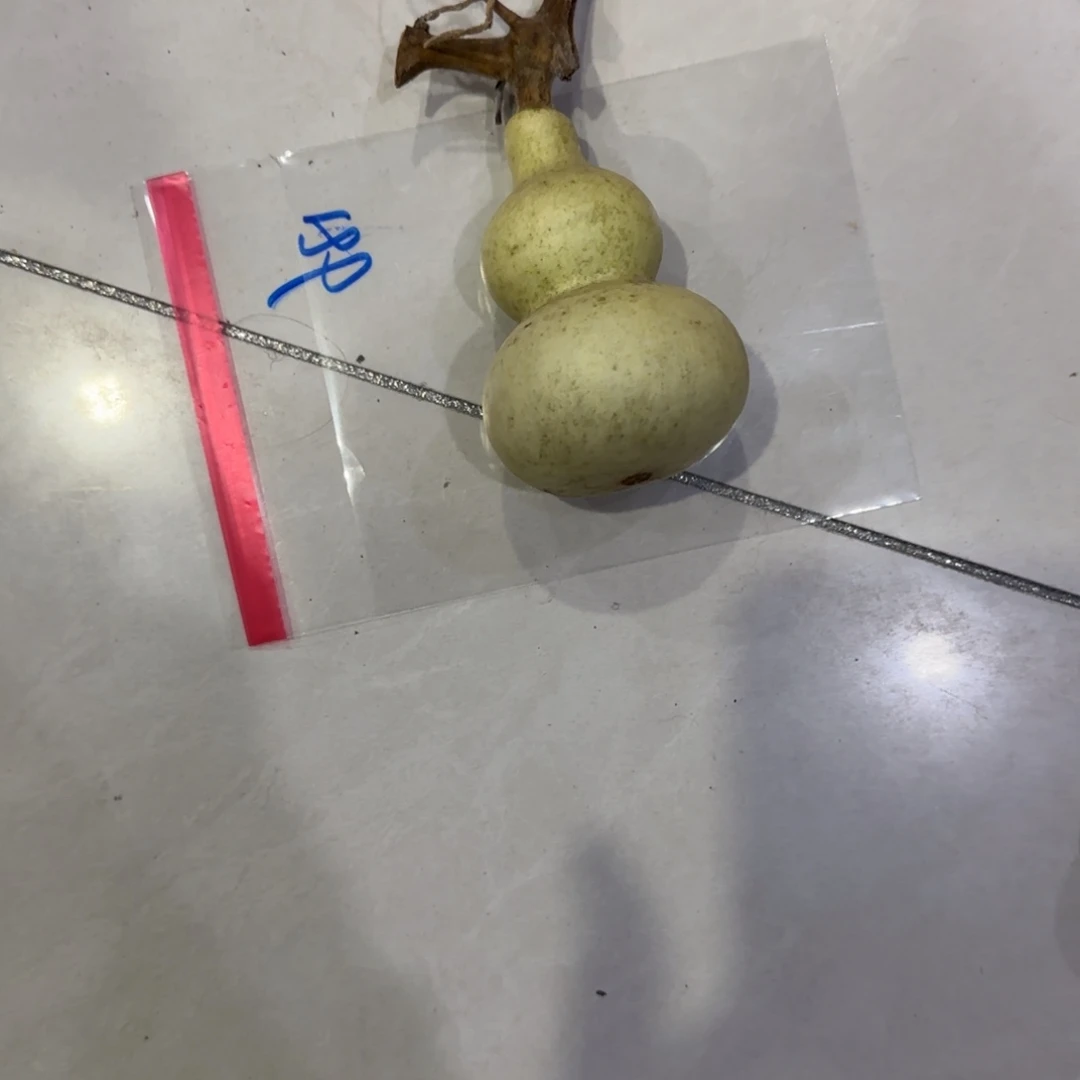 绿***情青皮不包成青皮不包成